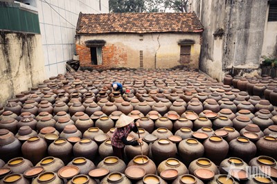 View - Làng nghề tương Bần Yên Nhân: Từ hạt đỗ vàng đến giọt tương thơm